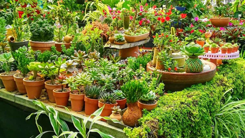 Tips-to-Keep-Your-Garden-Organized-and-Fresh-on-americastrend