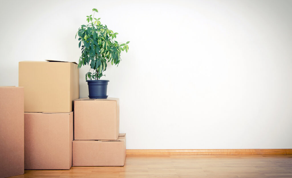 moving companies in Calgary